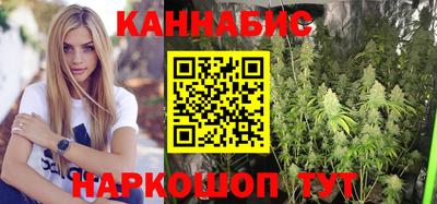 мдпв Боровичи