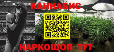 spice Братск