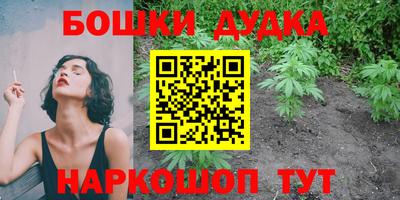 мдпв Боровичи